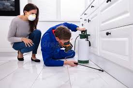 Best Fumigation Services  in Kyle, TX